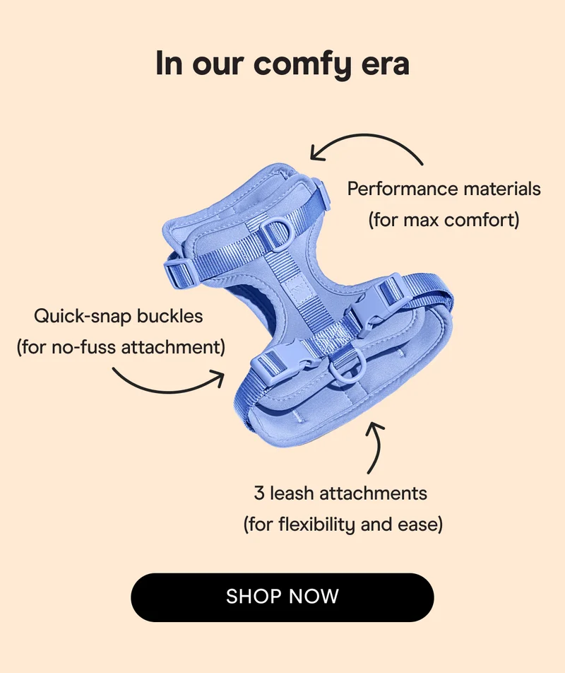 In our comfy era Performance materials (for max comfort) Quick-snap buckles  (for no-fuss attachment) 3 leash attachments  (for flexibility and ease) SHOP NOW