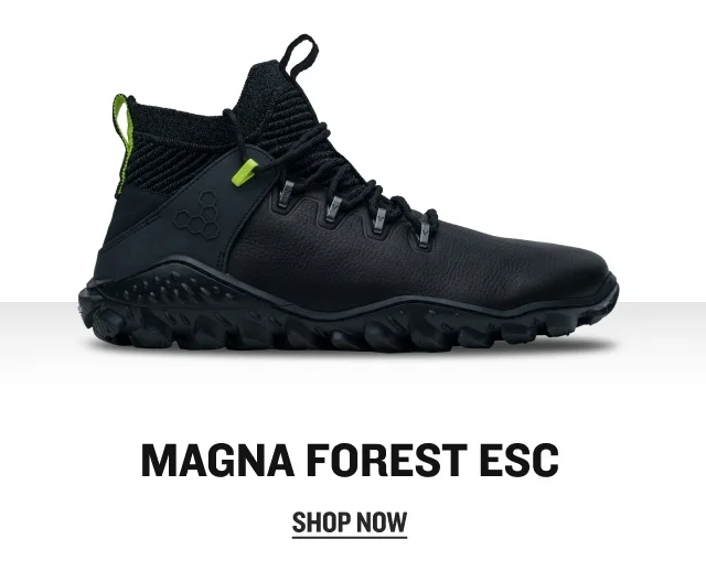 SHOP MAGNA FOREST ESC