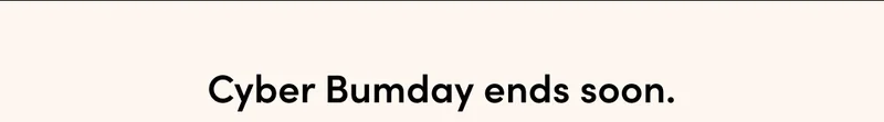 CYBER BUMDAY ENDS SOON