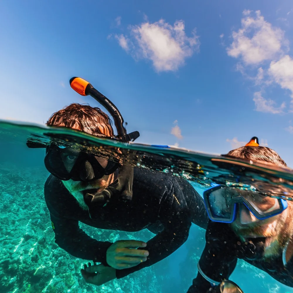 Diving in the Great Barrier Reef