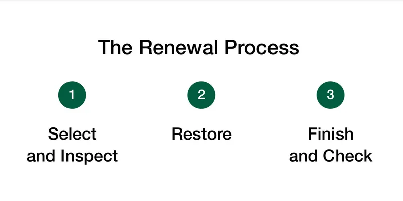 The Renewal Process