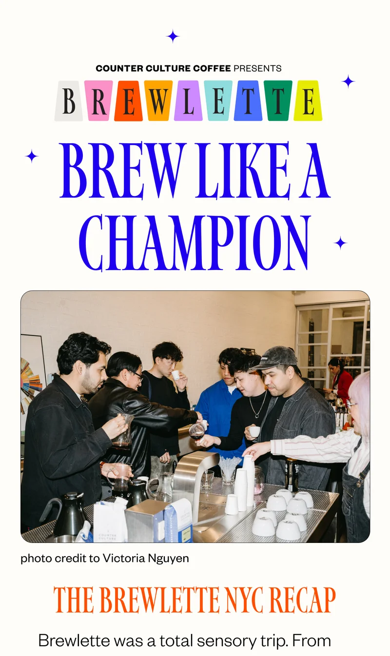 Counter Culture Coffee Presents Brewlette Brew like a champion