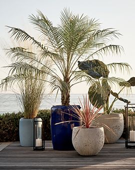planters
