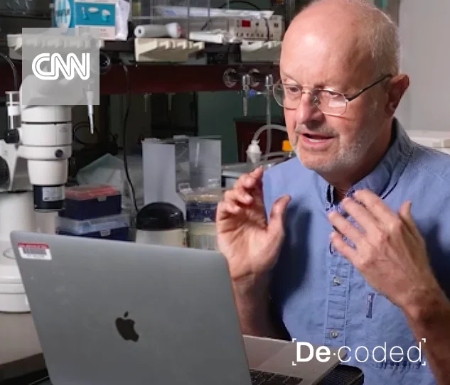 CNN De.Coded