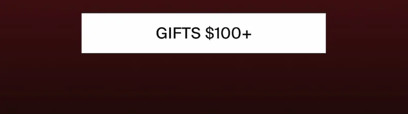 GIFTS UNDER $100+