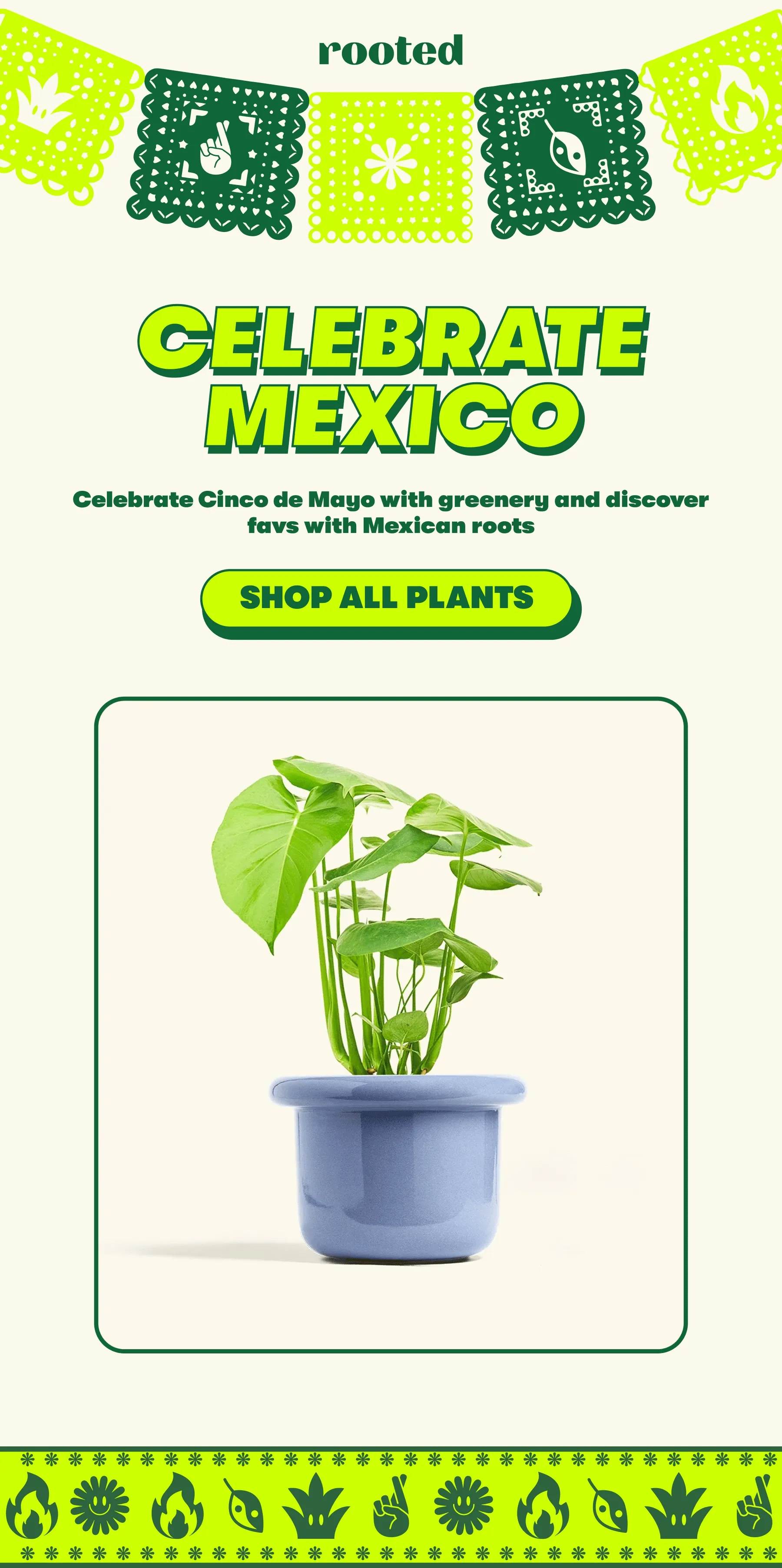 CELEBRATE MEXICO  Celebrate Cinco de Mayo with greenery and discover favs with Mexican roots  [SHOP ALL PLANTS]