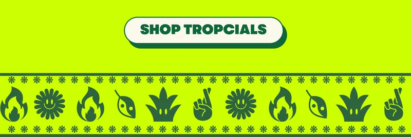 [SHOP TROPCIALS]