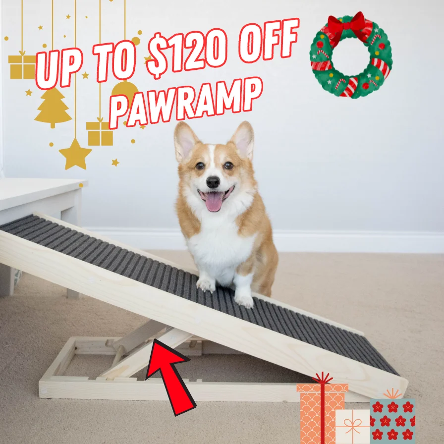 Pawlidays Pawramp
