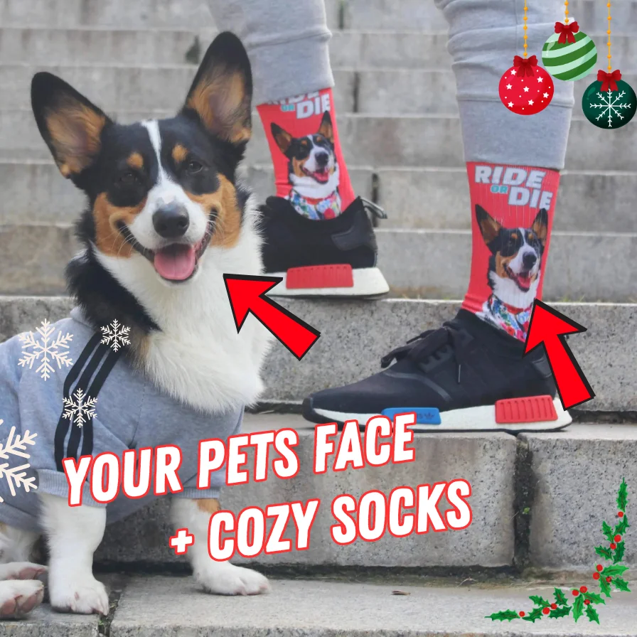 Custom pet socks