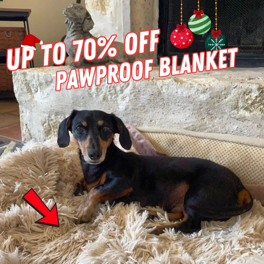 Pawlidays Pawproof Blanket