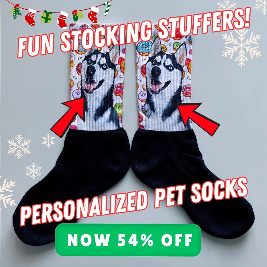 Pawlidays Custom Socks