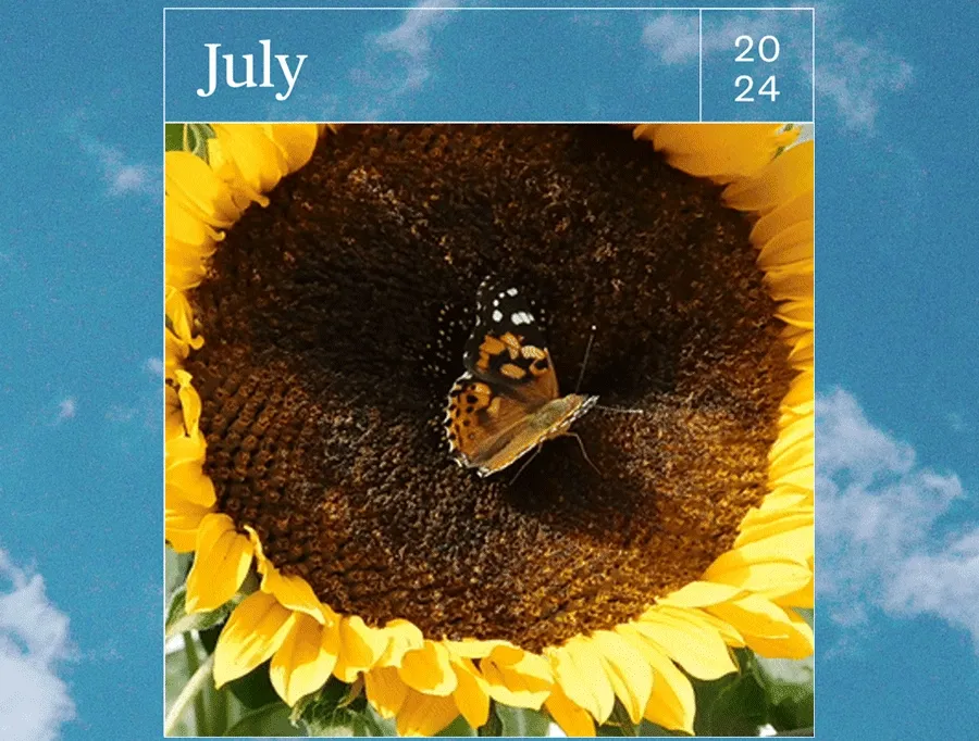 July 2024