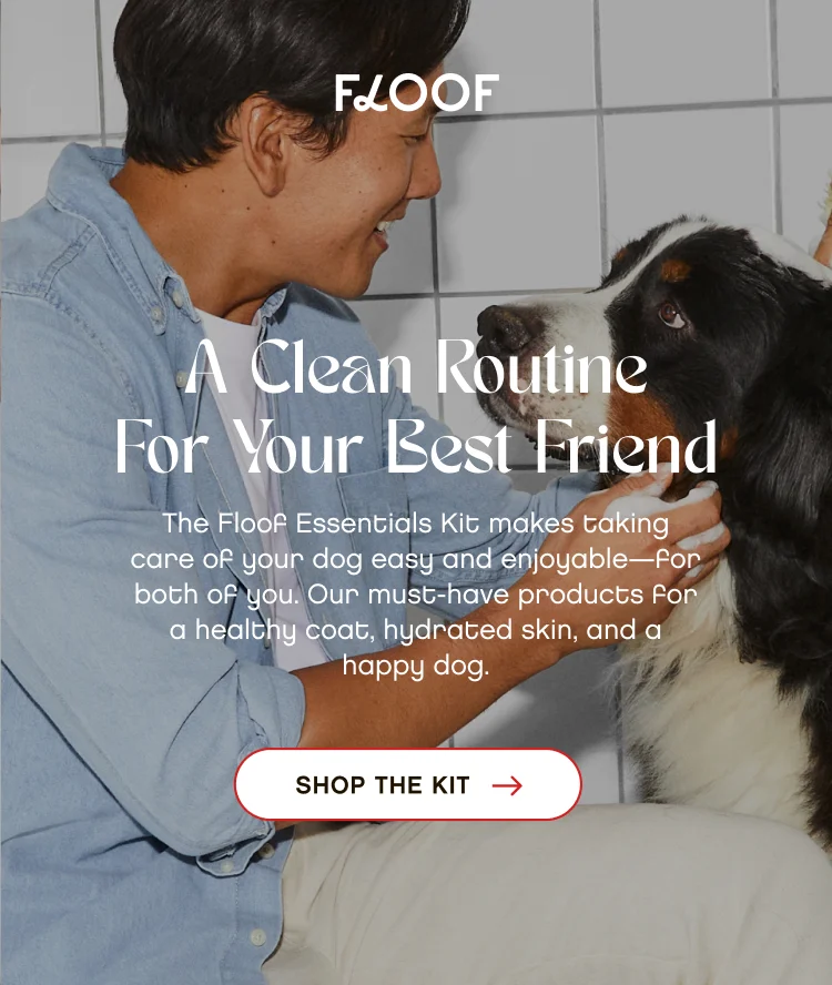 A Clean Routine  For Your Best Friend. The Floof Essentials Kit makes taking care of your dog easy and enjoyable—for both of you. Our must-have products for a healthy coat, hydrated skin, and a happy dog. Shop The Kit