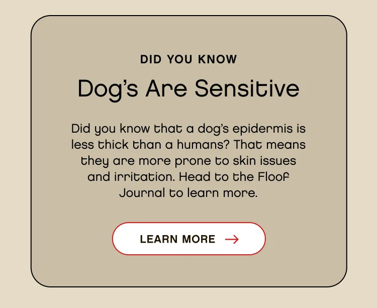 Did You KNow Dog's are Sensitive. Did you know that a dog’s epidermis is less thick than a humans? That means they are more prone to skin issues and irritation. Head to the Floof Journal to learn more.