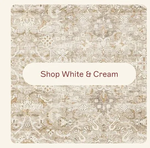 Shop White & Cream