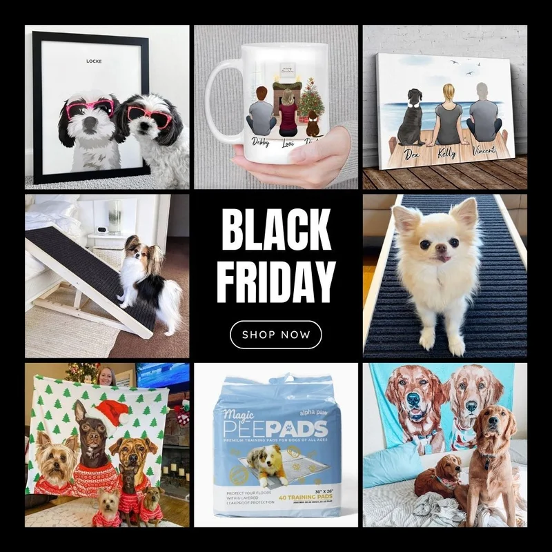 Early Black Friday