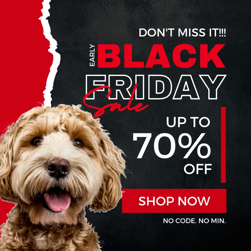 Black Friday Sale