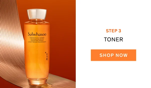 Step 3: Toner