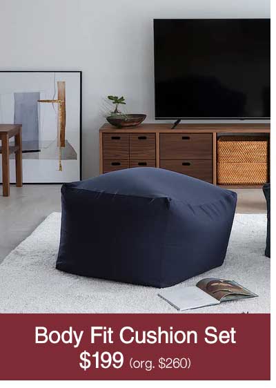 Shop $199 Body Fit Cushion Set