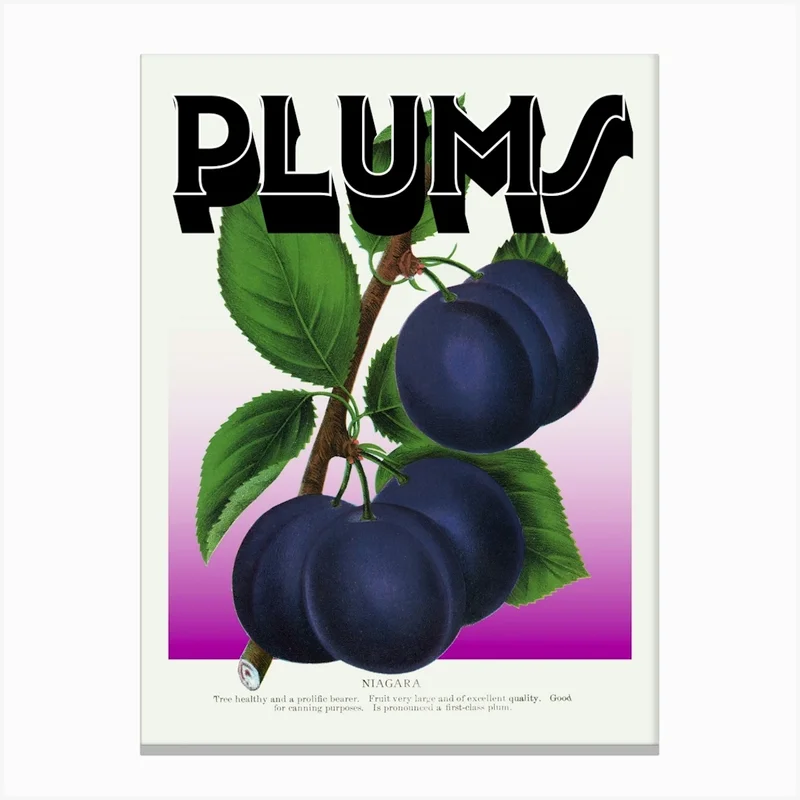 Image of Plums Purple Graphic Wall Art Vintage Unique Eclectic Canvas Print