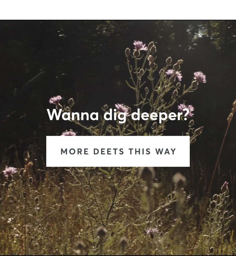 Dig Deeper
