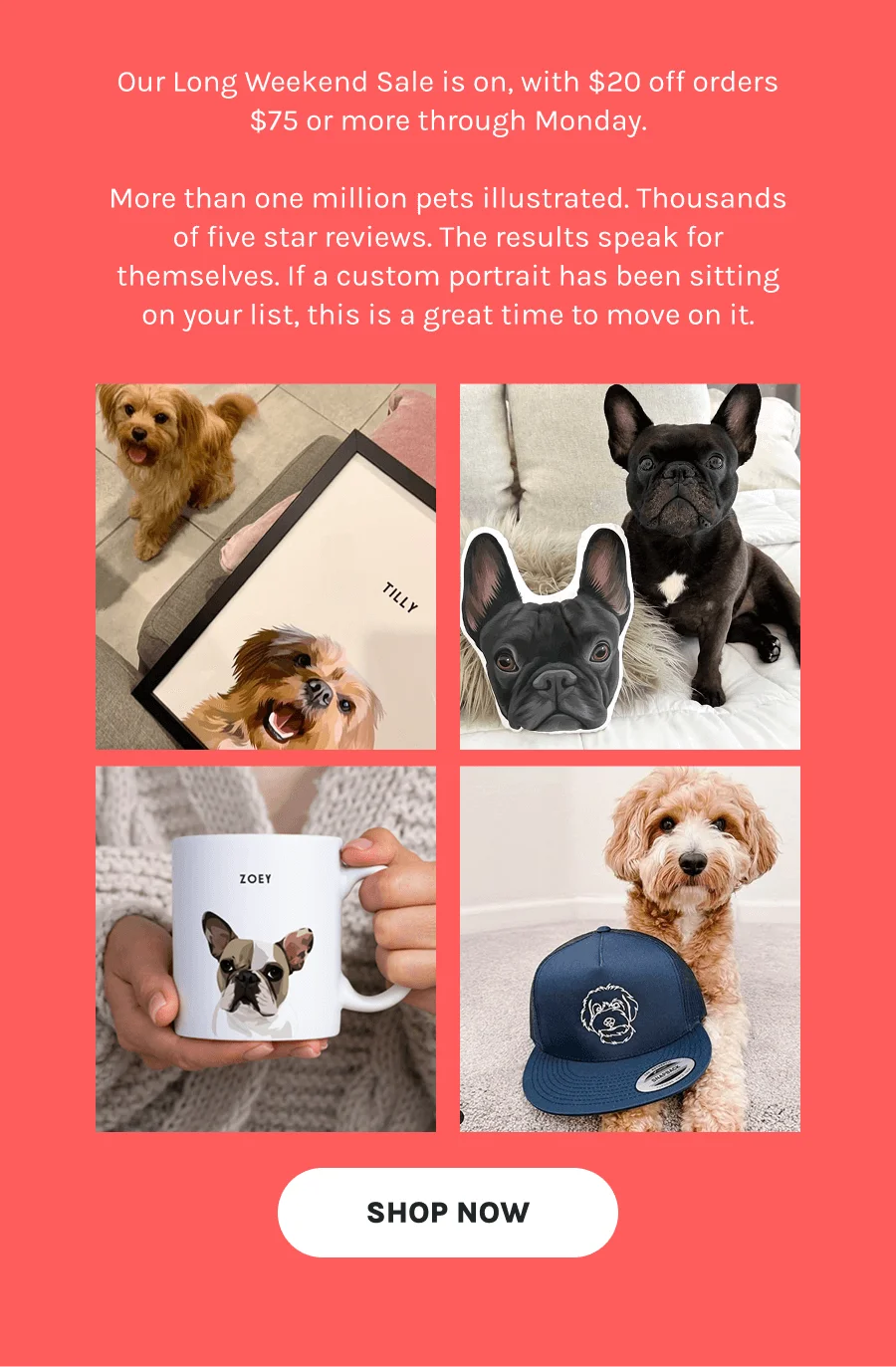 Shop Now