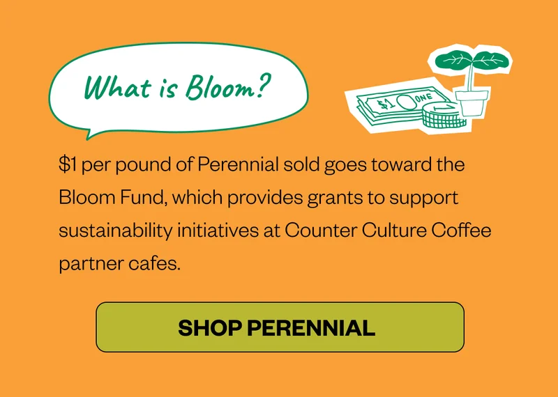What is Bloom? (Have a little blurb/bubble on the side?) $1 per pound of Perennial sold goes toward the Bloom Fund, which provides grants to support sustainability initiatives at Counter Culture Coffee partner cafes.    CTA: Shop Perennial