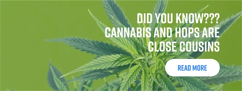 Read more about hops