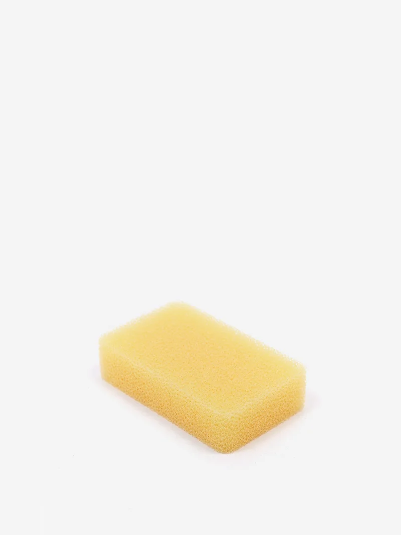 Image of Kamenoko Turtle Sponge - Yellow
