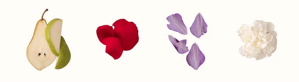 pear, rose petals, lilac petals, carnation