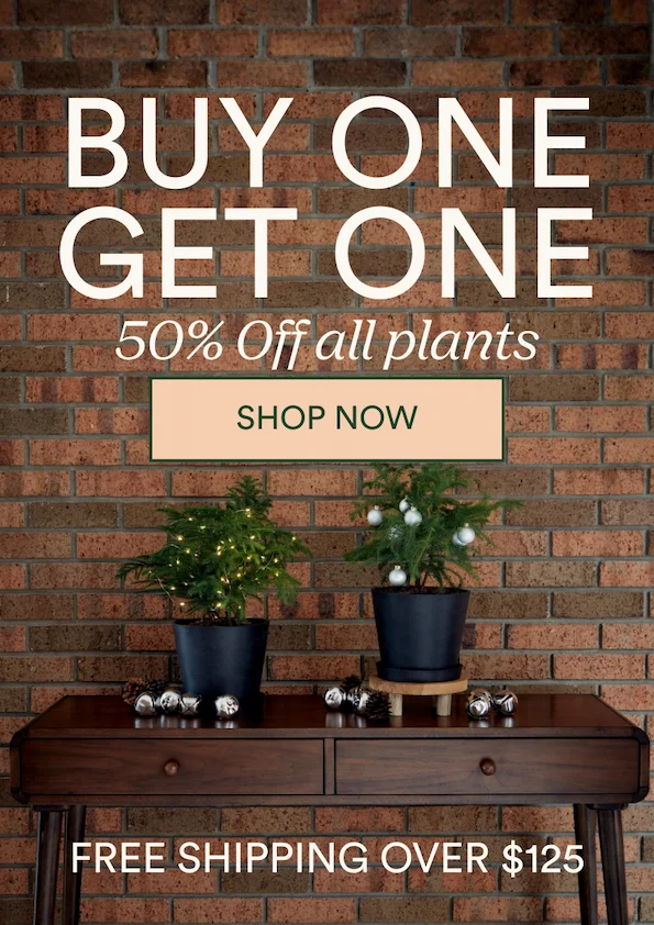BOGO 50% OFF ALL PLANTS of equal or lesser value