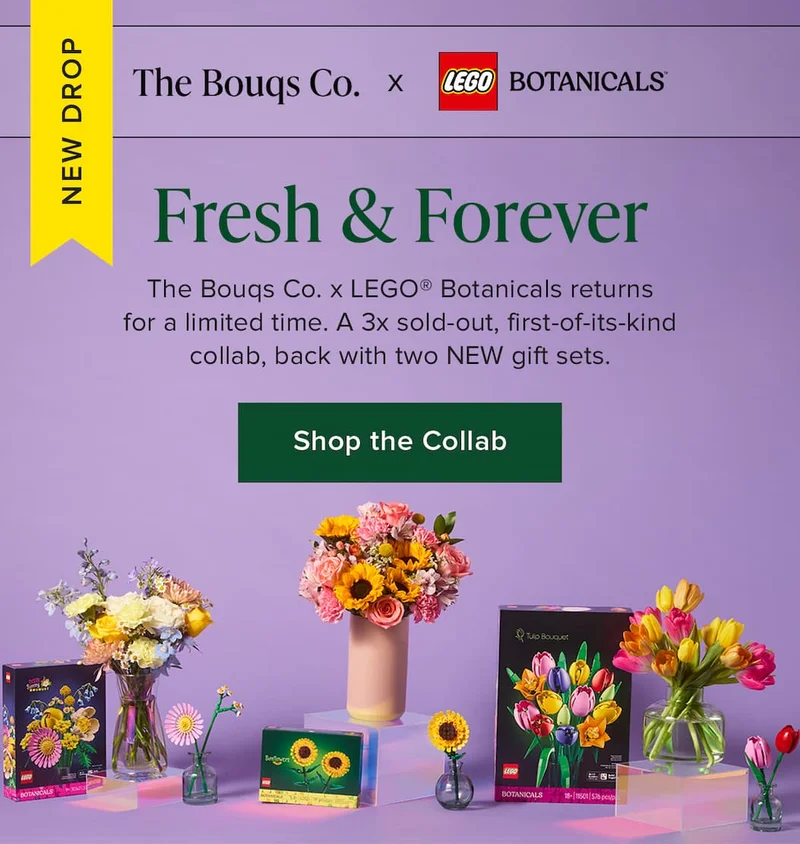 New Drop: The Bouqs Co. x LEGO® Botanicals. Fresh & Forever. The Bouqs Co. x LEGO® Botanicals returns for a limited time. A 3x sold-out, first-of-its-kind collab, back with two NEW gift sets. Shop the Collab.