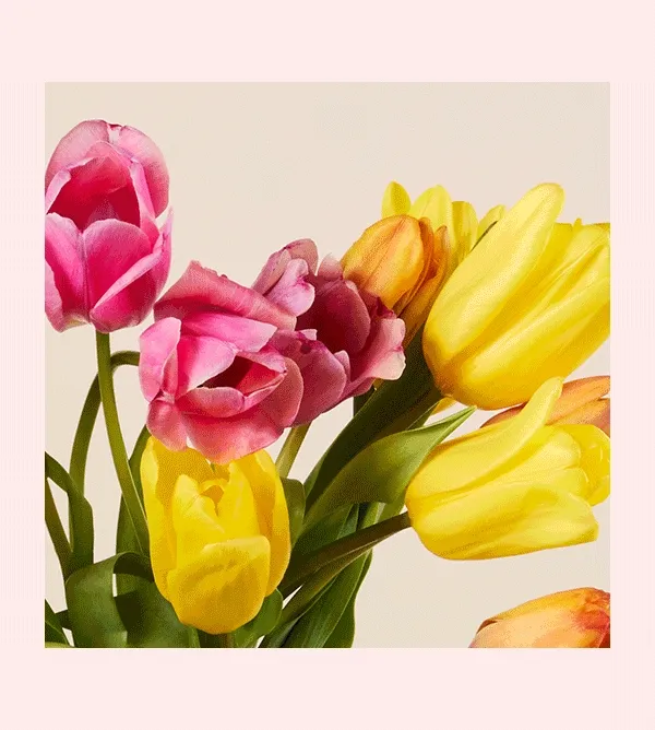 Image of the fresh and LEGO tulips