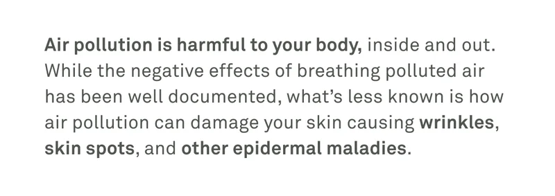 Air pollution can damage your skin causing wrinkles, skin spots, and other maladies.