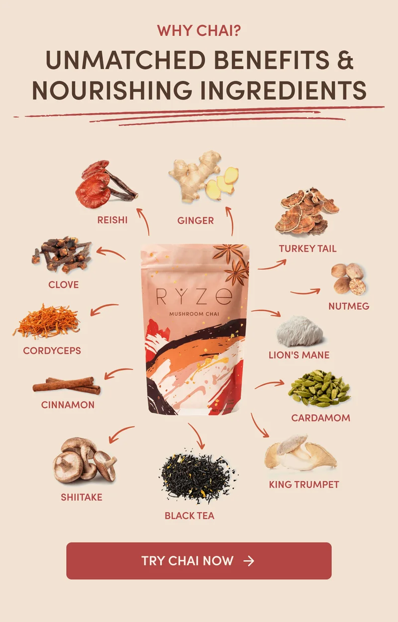 Why Chai? Unmatched benefits & nourishing ingredients | Ginger, Turkey Tail, Nutmeg, Lion's Mane, Cardamom, King Trumpet, Black Tea, Shiitake, Cinnamon, Cordyceps, Clove, Reishi