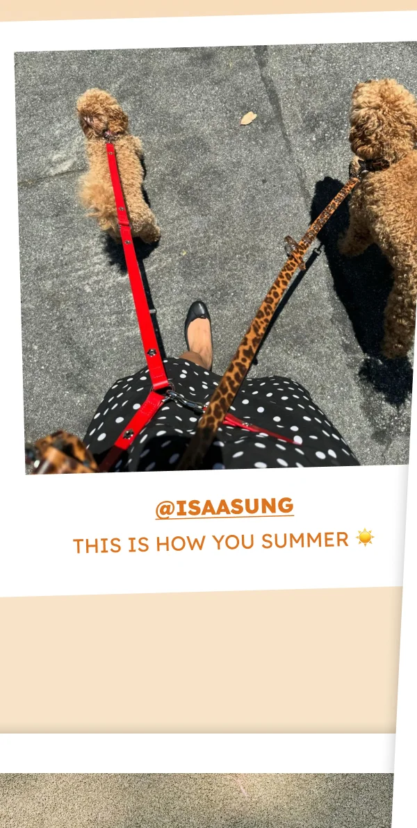 @isaasung This is how you summer ☀️