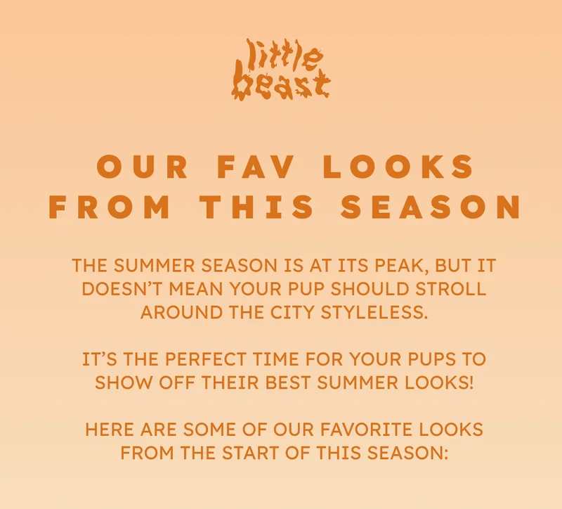 OUR FAV LOOKS FROM THIS SEASON