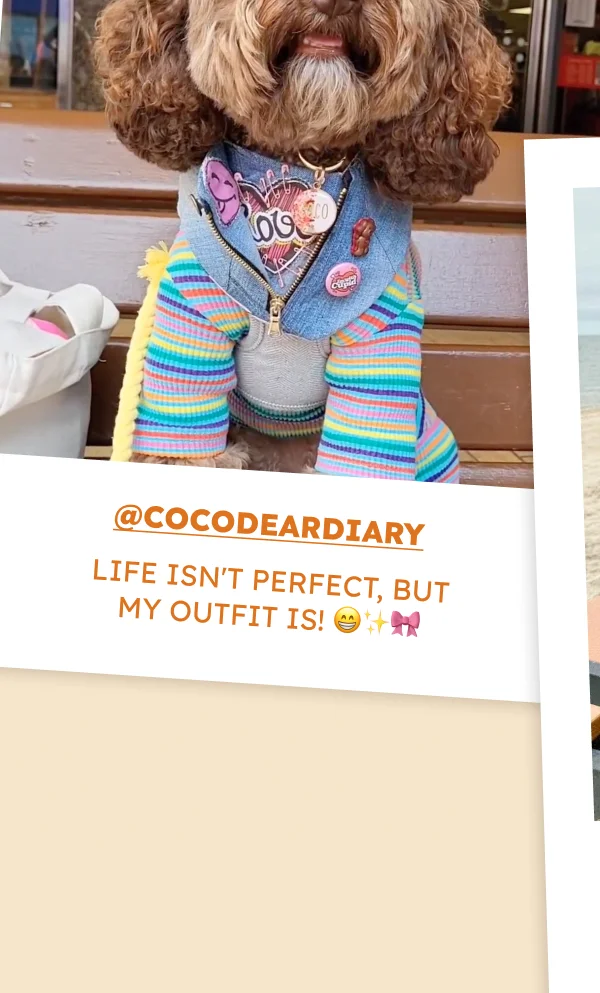 @cocodeardiary
