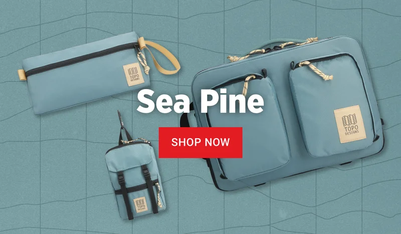 SHOP SEA PINE
