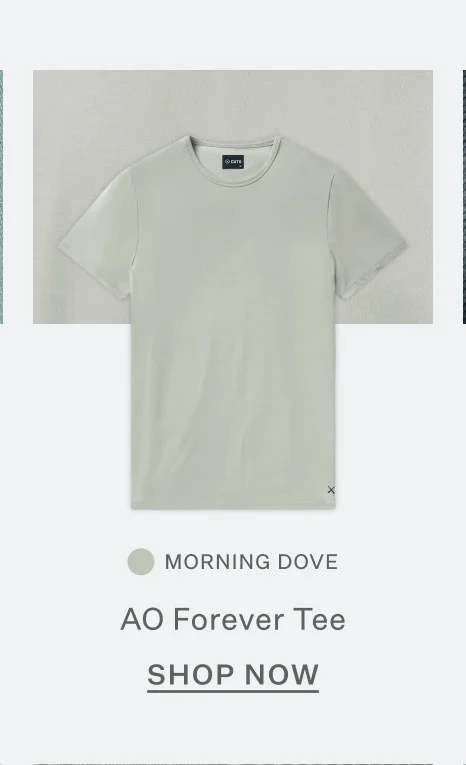AO Forever Tee