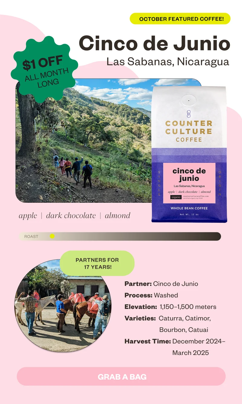 New Single-Origin! Cinco de Junio Las Sabanas, Nicaragua apple dark chocolate almond Partners for 16 years!Process: Washed  Elevation: 1150–1,500 masl Varieties: Caturra, Catimor, Bourbon, Catuai Harvest Time: December 2024–March 2025 Grab a BagLocated in the department of Madriz, the Cinco de Junio cooperative is our oldest partner in Nicaragua, a relationship that began in 2009. Over the years, the cooperative has weathered challenges–shifting economic and political conditions and the growing impacts of climate change. These pressures have forced the cooperative and its members to adjust their production practices, persevering to make the best coffee possible. This season’s lot delivers classic flavors of apple, dark chocolate, and sweet almond. Shop Now