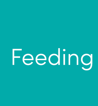 Feeding