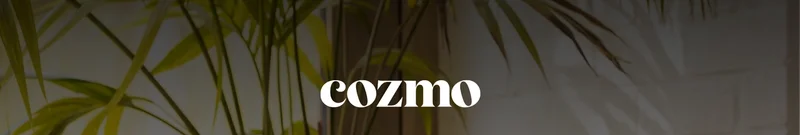 Cozmo