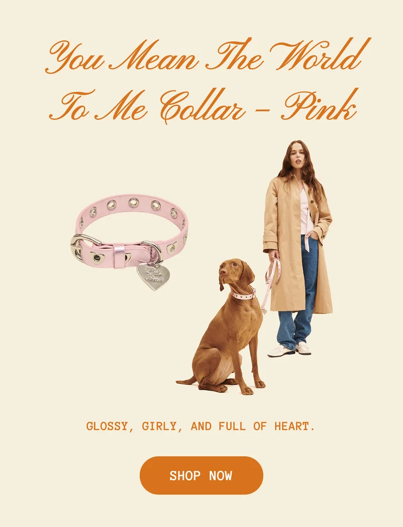 You Mean The World To Me Collar – Pink