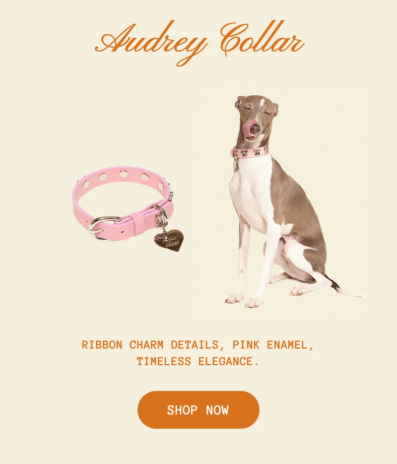 Audrey Collar