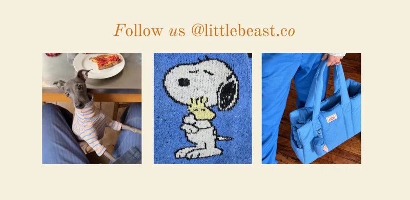 Follow us on Instagram