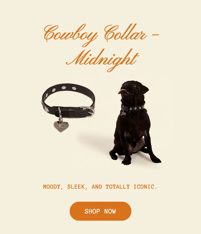 Cowboy Collar – Midnight
