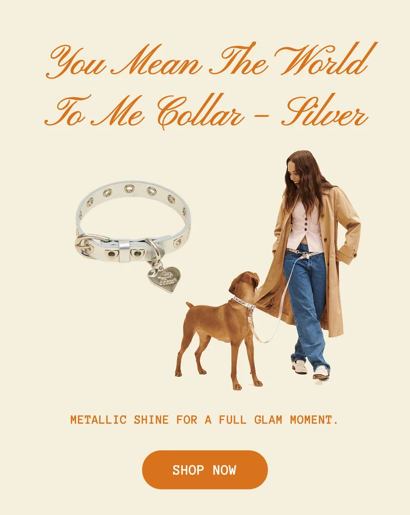 You Mean The World To Me Collar – Silver