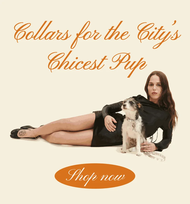 Collars for the City’s Chicest Pup