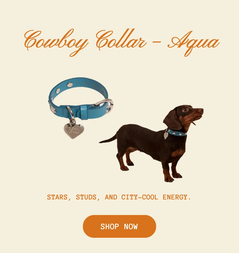 Cowboy Collar – Aqua